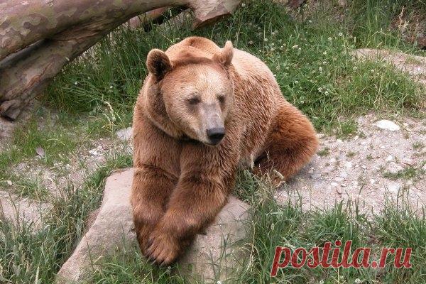 Инсбрук - Путешествуем вместе