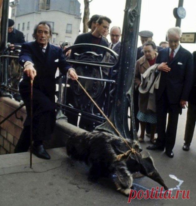 Любовь на грани помешательства