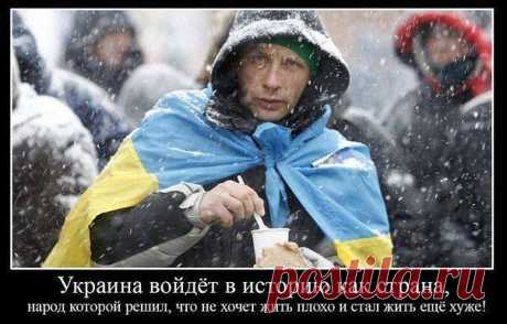 Укропы вы мои вороватые!