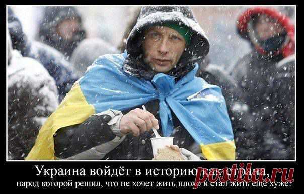 Укропы вы мои вороватые!