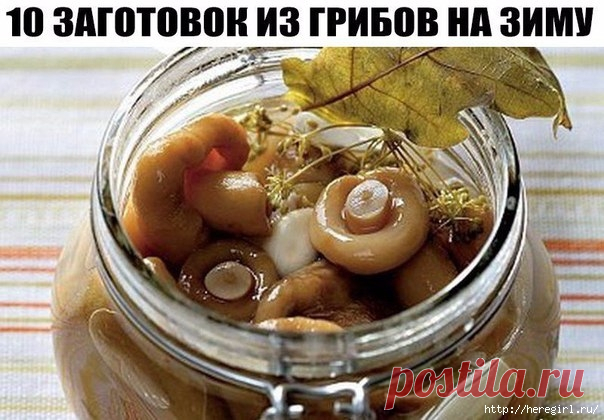 10 заготовок из ГРИБОВ