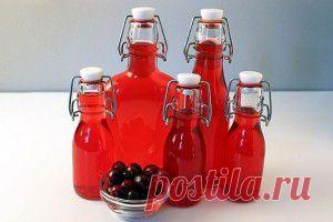 Лучшие рецепты приготовления клюквы на спирту