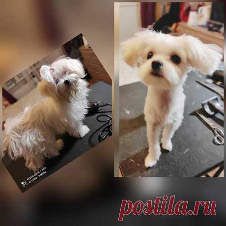 Наталия: Нет колтунам!!!))