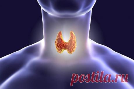 Домашний способ проверить щитовидку | Журнал "JK" Джей Кей А вы знаете, что для того чтобы проверить свою щитовидку, нужен только градусник? Еще 50 лет назад ученый Брода Отто Барнс обнаружил, что температура тела — отличный индикатор того, как работает ваша щитовидная железа...