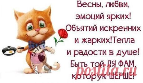 душа