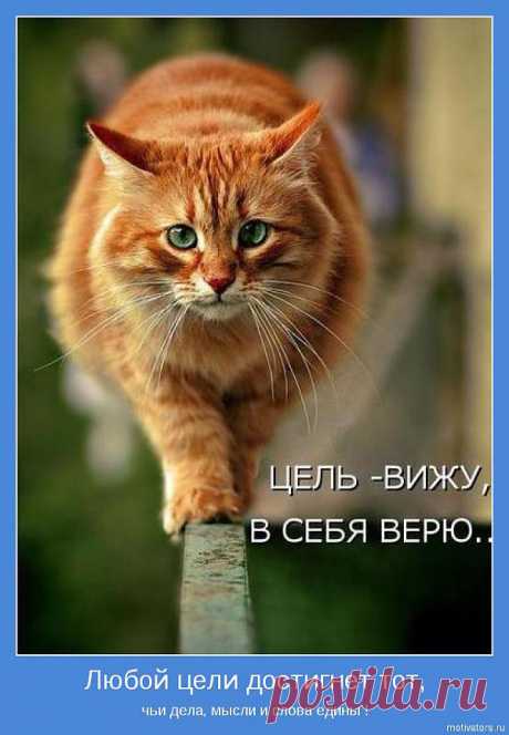 Цель - вижу,
в себя верю...