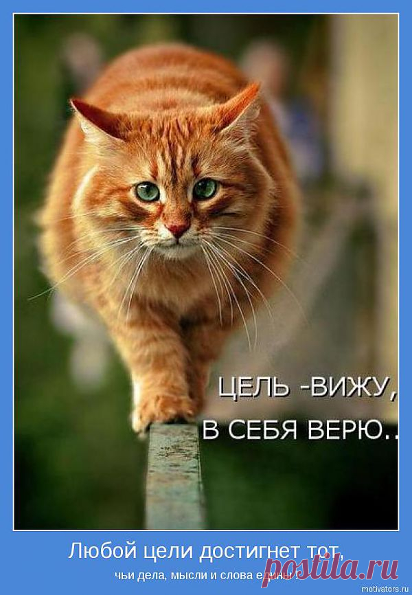 Цель - вижу,
в себя верю...
