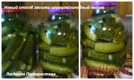 (14) Одноклассники