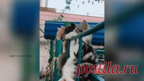 Эх, тоска зеленая ... Скукотища ... Чем бы заняться?