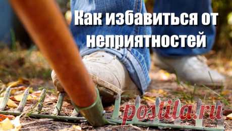 Как раз и навсегда избавиться от всех неприятностей ( для невезучих людей) Как раз и навсегда избавиться от всех неприятностей ( для невезучих людей) Бывают люди которым постоянно не везёт, их всю жизнь преследуют всякие мелкие и крупные неприятности. Одна проблема сменяется…