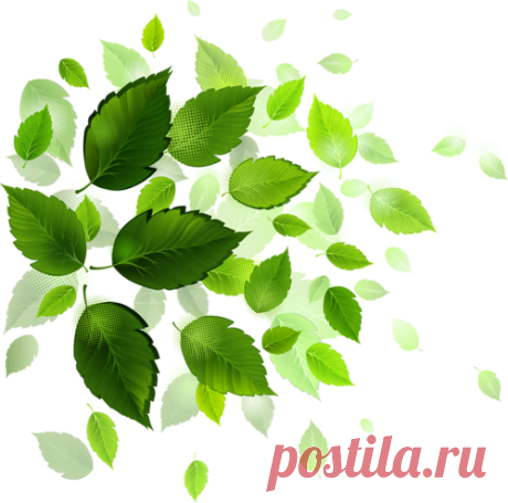 Клипарт png, бесплатные фото, обои, изображения