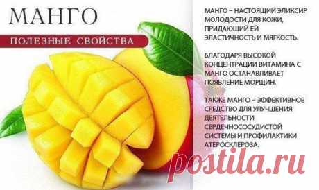 Полезные свойства фруктов и ягод