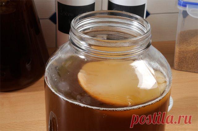 Защитит ли от коронавируса чайный гриб? Кремлёвский доктор рекомендует против коронавируса чайный гриб. Этот напиток правда поможет?