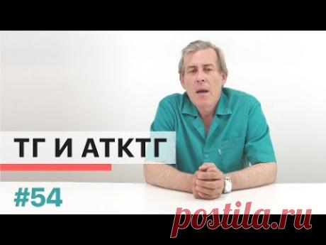 Зачем определяют Тиреоглобулин и антитела к тиреоглобулину (ТГ и АТк ТГ)?