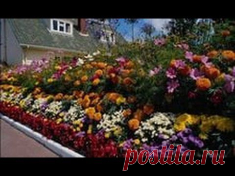 ▶ Дачный креатив, как украсить участок - YouTube