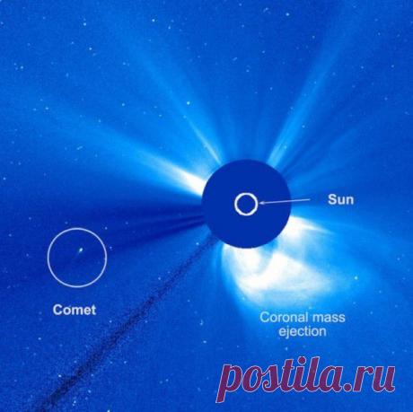 Загадочная комета выжила после «встречи» с Солнцем.
Обсерватория SOHO для наблюдения за Солнцем сфотографировала необычную комету, выжившую после полета на опасно близком расстоянии от звезды. «Встреча» C/2015 D1 со светилом была зафиксирована в период с 18 по 21 числа этого месяца. Уникальность этой кометы состоит в том, что она не принадлежит к какому-либо известному семейству комет.