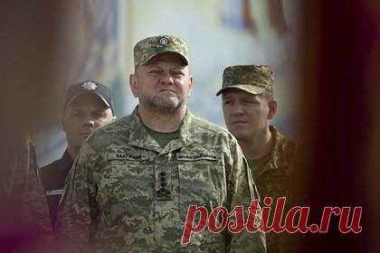 В Госдуме рассказали о ставке Британии на Залужного. Первый заместитель председателя комитета Госдумы по международным делам Дмитрий Новиков прокомментировал назначение экс-главнокомандующего Вооруженными силами Украины (ВСУ) Валерия Залужного на должность украинского посла в Великобритании. По его словам, Лондон всегда делал на него ставку.