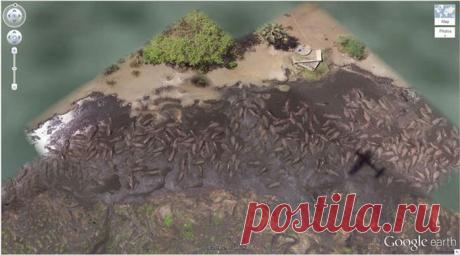 15 сюрпризов, которые зафиксировал спутник Google Earth