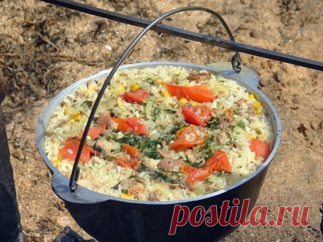 Самая вкусная еда та, что приготовлена на костре! Кто тоже так думает? / Богатая добыча