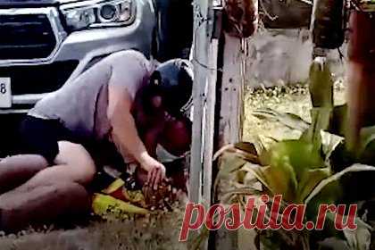 Туристы напали на полицейского в Таиланде и попали на видео. Двое туристов из Новой Зеландии напали на полицейского, который хотел выписать им штраф за неосторожное вождение. Мужчины повалили его на землю и отобрали пистолет. В процессе потасовки прозвучал выстрел, но пуля никого не задела. Иностранцам предъявили обвинения по пяти статьям.