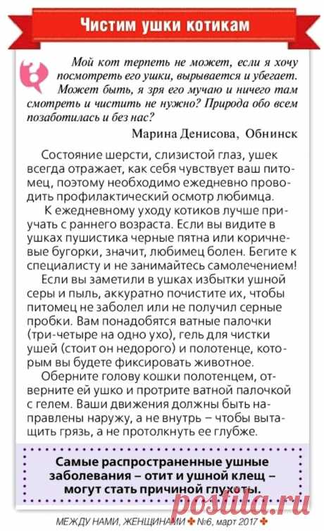 Чистим ушки котикам