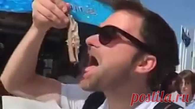 ЧАЙКА УКРАЛА РЫБУ!