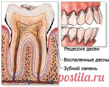 Приготовила не напрасно | Друг пенсионера