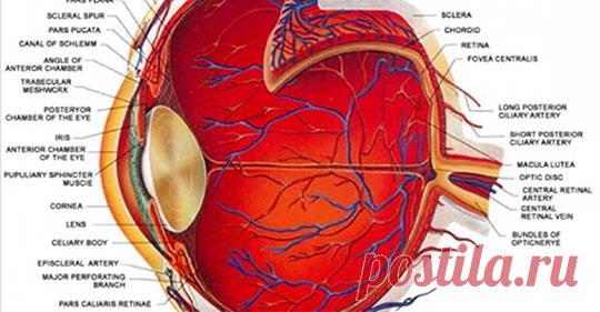Абсолютно умопомрачительный способ улучшения зрения, чтобы вы могли видеть без очков