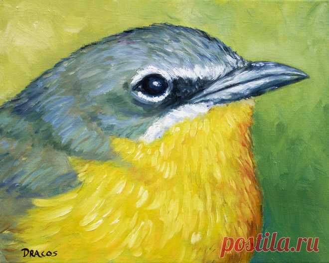 Yellow-Breasted Chit Wild Bird by Dottie Dracos Yellow-Breasted Chit Wild Bird Painting by Dottie Dracos