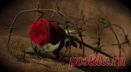 В детском саду хочется в школу... В школе хочется в универ... В универе хочется на работу... На работе хочется в Дет сад и навсегда!