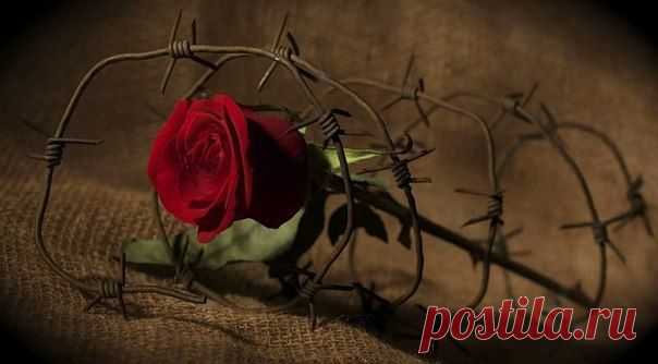 В детском саду хочется в школу... В школе хочется в универ... В универе хочется на работу... На работе хочется в Дет сад и навсегда!