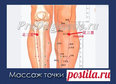 Исцеление от множества болезней с помощью точки долголетия