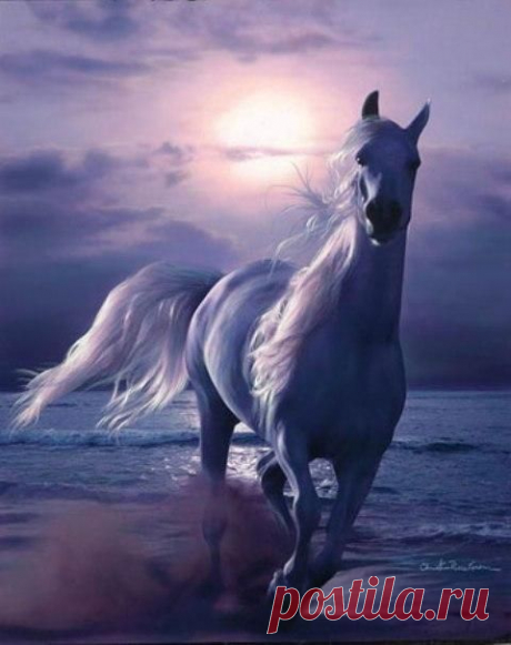 Unnamed - Pixdaus | Horses