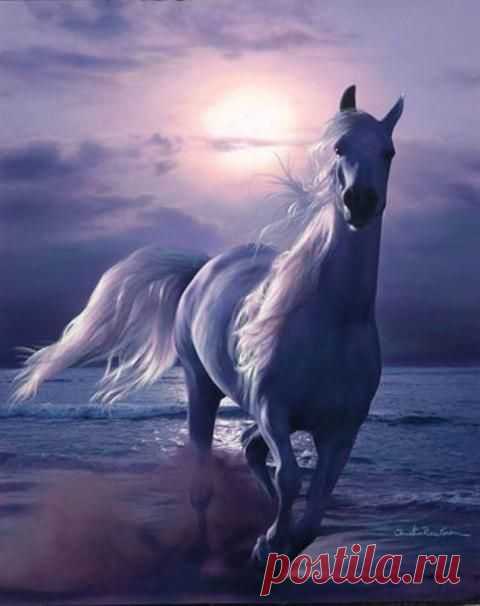 Unnamed - Pixdaus | Horses