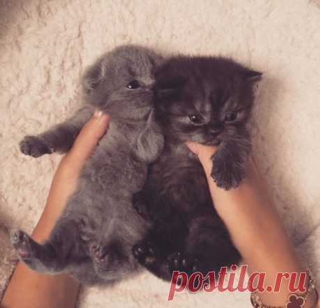 Для настроения!!!❤😘