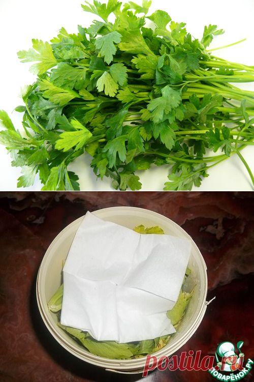 Как сохранить свежую зелень в течении нескольких недель