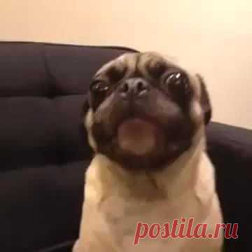 Гузель Касимова