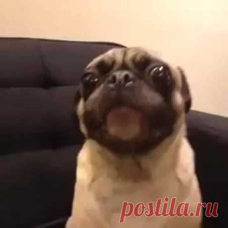 Гузель Касимова
