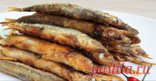 Дешевая рыба оказалась полезнее красной! Теперь не коту покупаю, а себе Все мы наслышаны о том, как полезна семга, форель, лосось. Но заметим, что только дикорастущая, а не та, что выращивается в специальных бассейнах и питается комбикормом. Эксперты утверждают, что у данных элитных сортов есть серьезный