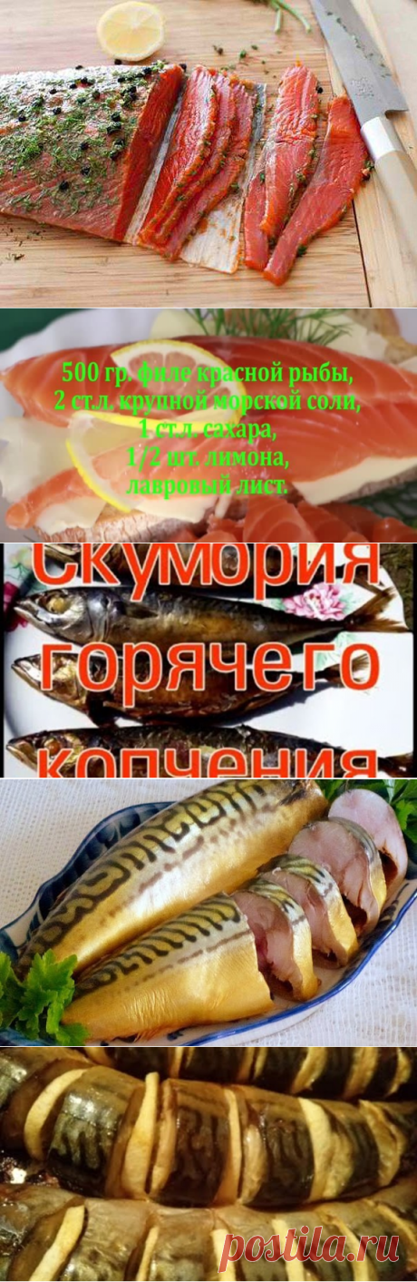 1 непрочитанный чат