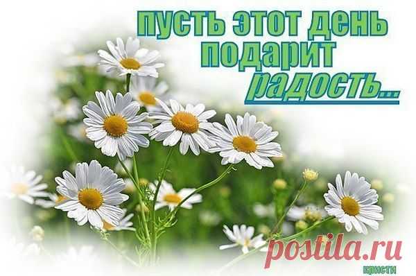 Владимир Барышев