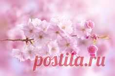Pinterest • Всемирный каталог идей