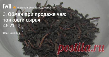 Всегда ли хорош «элитный чай» Знания и приемы, помогающие с выбором и определением качества чая.