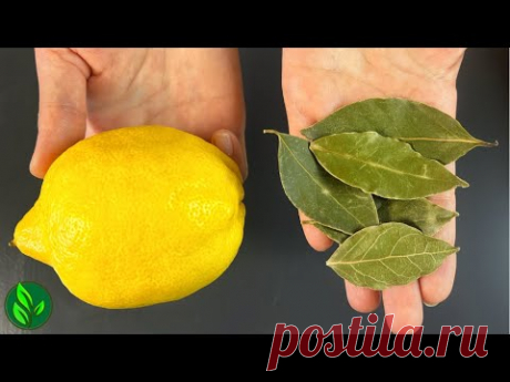 Смешайте лимон с лавровым листом и скажите спасибо за рецепт!