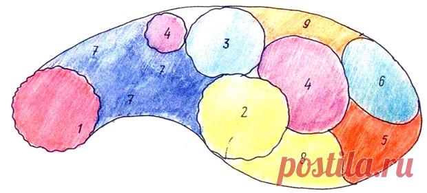 Композиции растений для разных участков | Любимые цветы