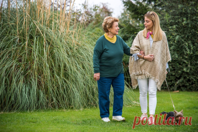 Какие пенсии относятся и считаются социальными в России | 2ann.ru | Яндекс Дзен