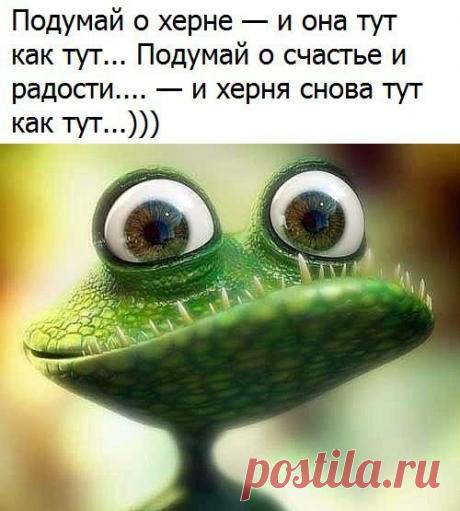 Только позитив