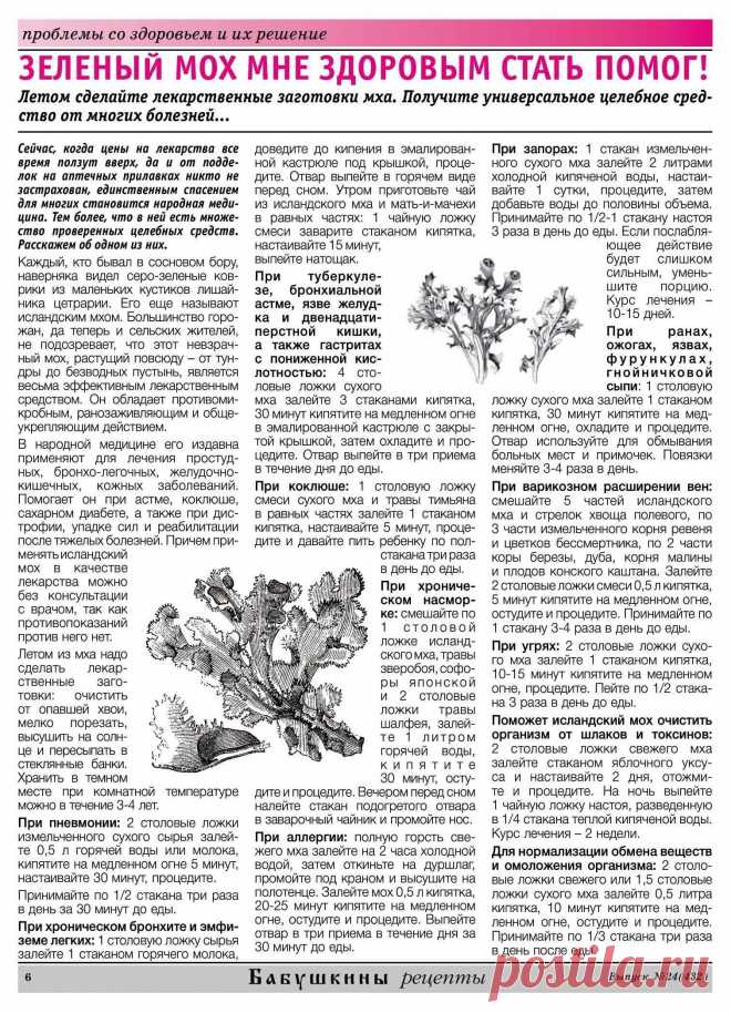 Цетрария или исландский мох