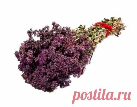 Секретный рецепт чая самого Чингисхана - Журнал для женщин У тех, кто принимает этот чай, нервы становятся стальными, а жизнь кажется радостной и наполненной смыслом. Как известно Чингисхан со своим войском завоевал практически половину мира. Длительные и утомительные переходы наряду с яростными сражениями, конечно, изматывали воинов хана. Как же им удавалось сохранять силы и нервное равновесие. Оказывается, Чингисхан приказывал своей орде пить специальный чай, […]