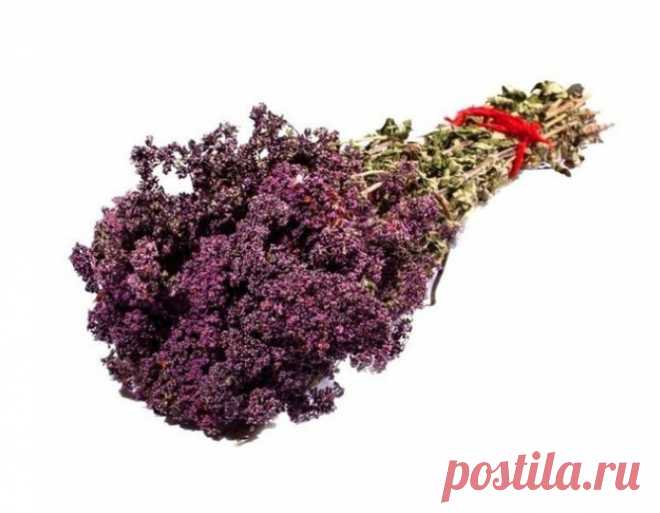 Секретный рецепт чая самого Чингисхана - Журнал для женщин У тех, кто принимает этот чай, нервы становятся стальными, а жизнь кажется радостной и наполненной смыслом. Как известно Чингисхан со своим войском завоевал практически половину мира. Длительные и утомительные переходы наряду с яростными сражениями, конечно, изматывали воинов хана. Как же им удавалось сохранять силы и нервное равновесие. Оказывается, Чингисхан приказывал своей орде пить специальный чай, […]